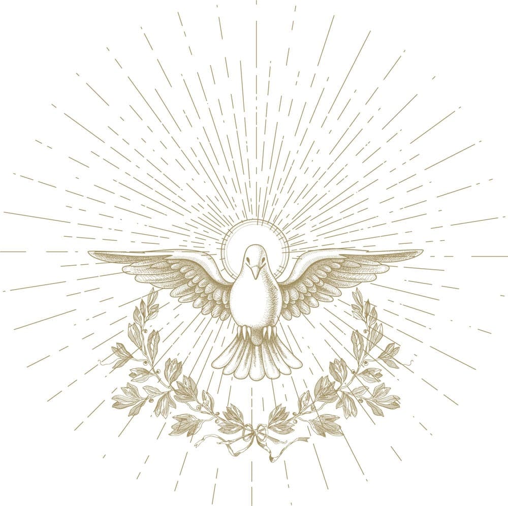 chesterton-academy-buffalo-gold-dove-illustration-white-bg